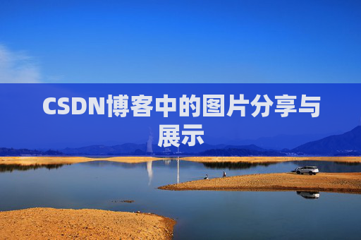 CSDN博客中的图片分享与展示